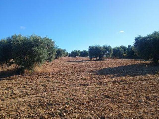 Terrenos Huelva La Costa 103547575