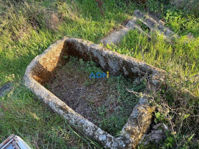 Terrenos Idanha Castelo Branco DLS62514407