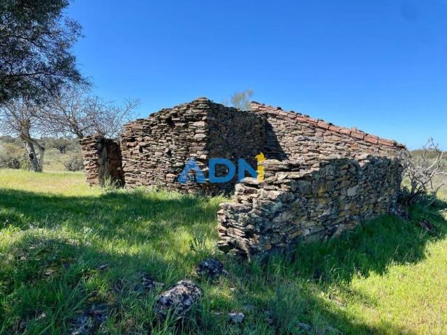 Terrenos Idanha Castelo Branco DLS92384823