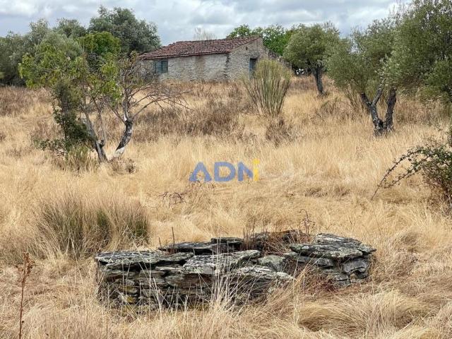 Terrenos Idanha Castelo Branco DLS94992235