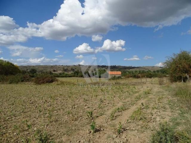 Terrenos Idanha Castelo Branco DS78384746