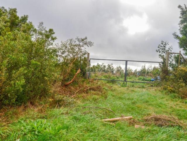 Terrenos Ilha da Madeira North DS101398905
