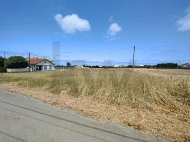 Terrenos Ílhavo Ílhavo DLS101744753