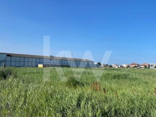 Terrenos Ílhavo Ílhavo DLS102763405
