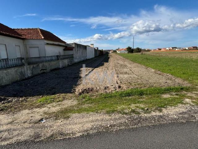 Terrenos Ílhavo Ílhavo DS97118823