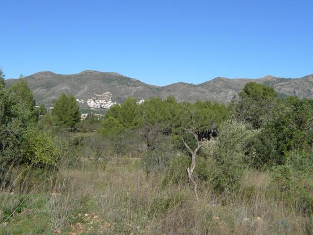 Terrenos Jalón Valley Costa Blanca LS97046868