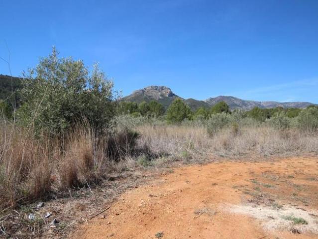 Terrenos Jalón Valley Costa Blanca 97047018