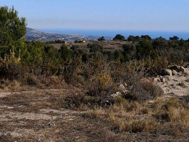 Terrenos Jalon Xalo Alicante Alacant LS96213984