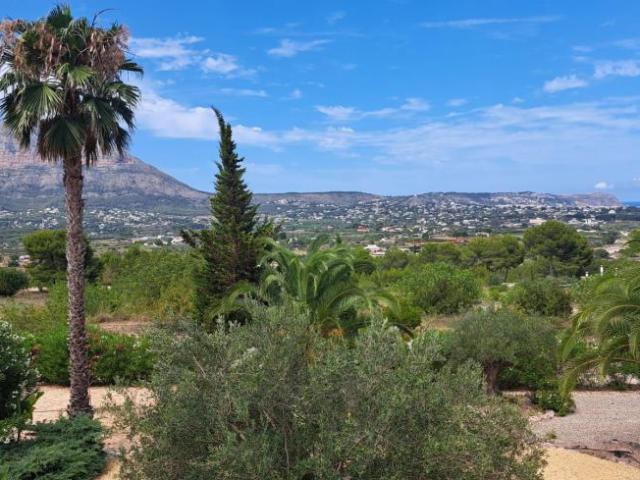 Terrenos Javea Alicante 78598822