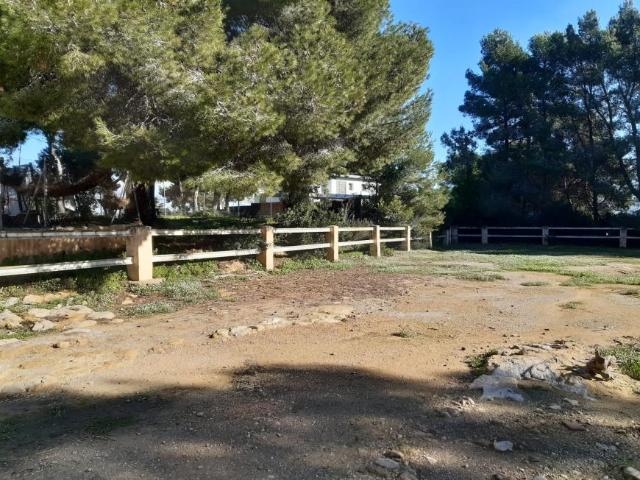 Terrenos Javea Alicante 78599326
