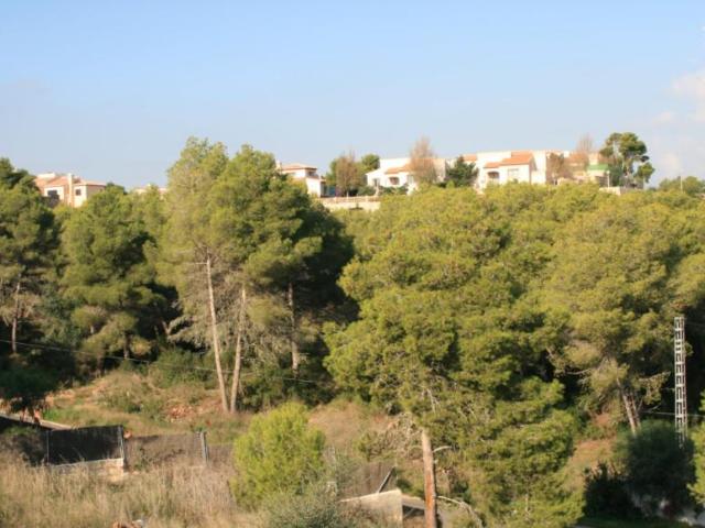 Terrenos Jávea Alicante 100600967