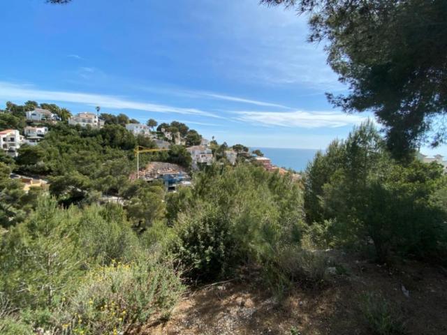 Terrenos Javea Alicante 101640476