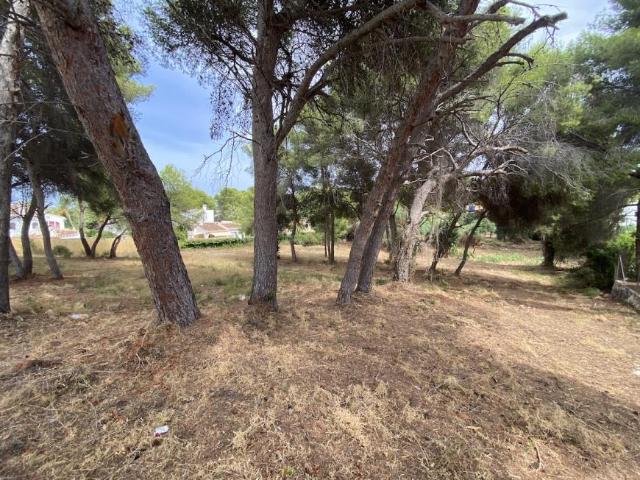 Terrenos Javea Alicante 101640488