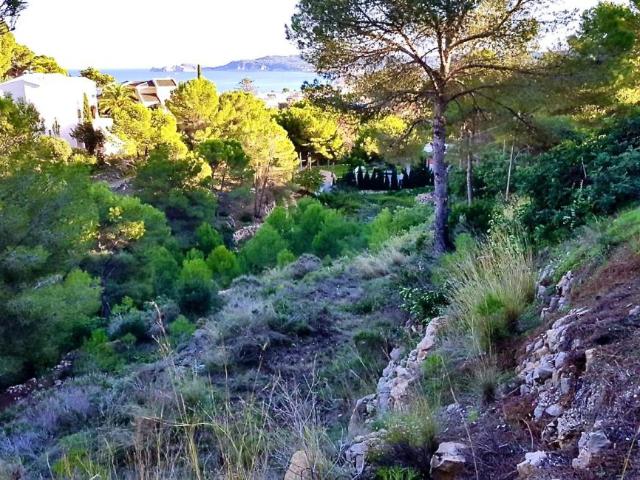Terrenos Javea Alicante 101125331