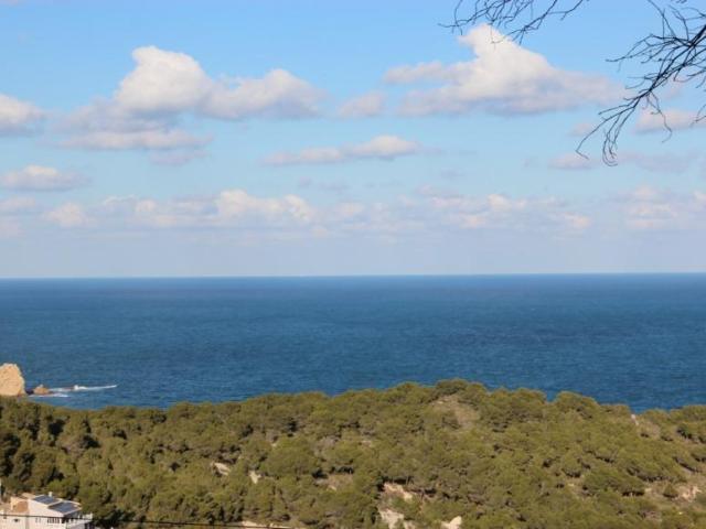 Terrenos Javea Alicante 101135734