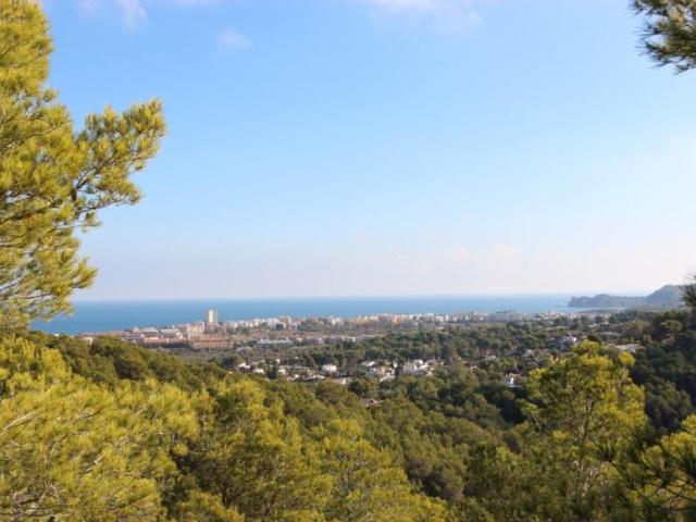 Terrenos Jávea Costa Blanca 97044554