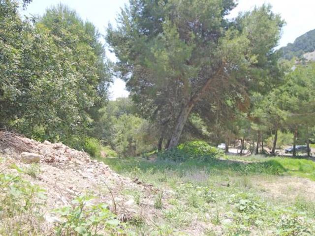 Terrenos Javea Javea 66520546
