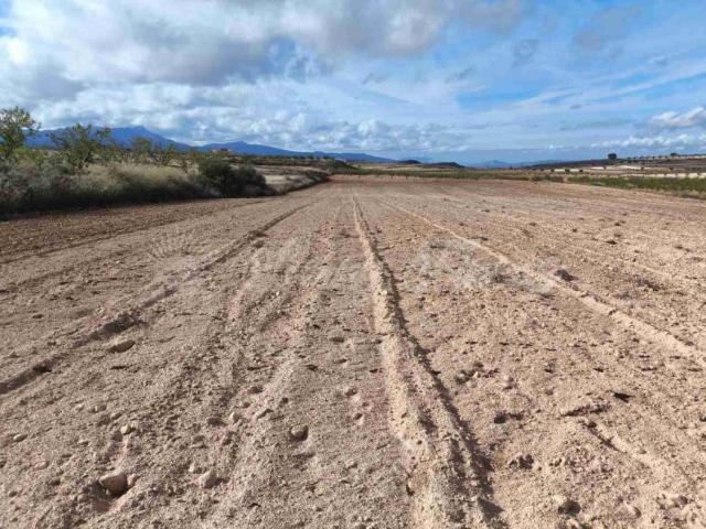 Terrenos Jumilla Murcia 96591408