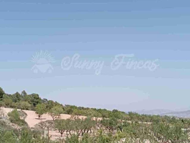 Terrenos Jumilla Murcia LS96288378