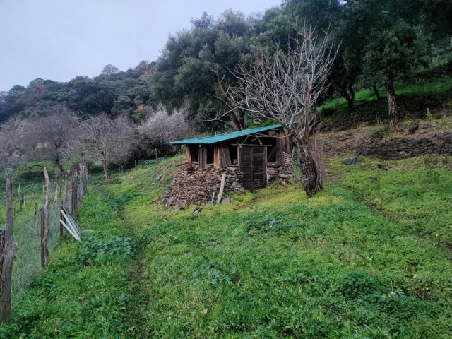 Terrenos Jubrique Málaga 73520605