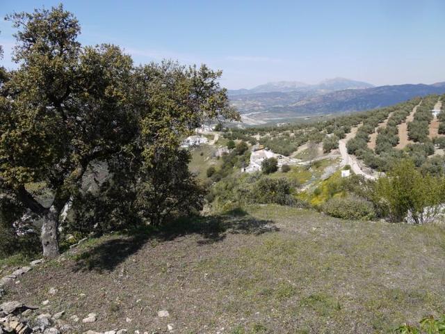 Terrenos La Fuente Del Conde Andalucia 79146785