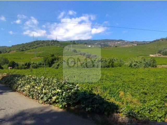 Terrenos Lamego Lamego DS95450380