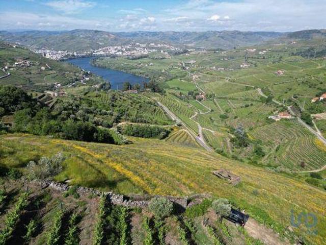 Terrenos Lamego Viseu DLS92224893