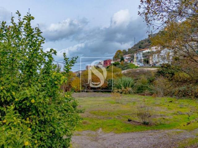 Terrenos Lamego Viseu DLS97850365