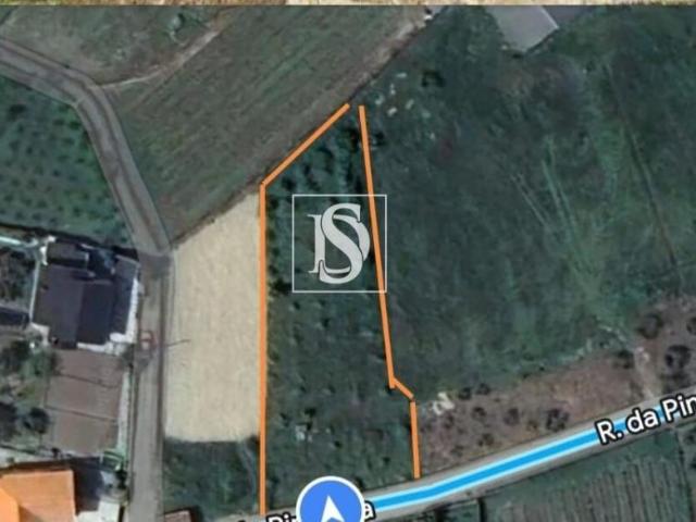 Terrenos Lamego Viseu DLS98365274