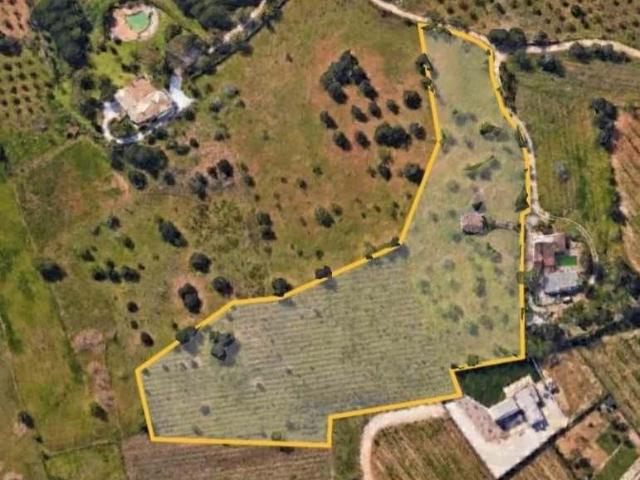 Terrenos Lagoa Algarve DS73733638