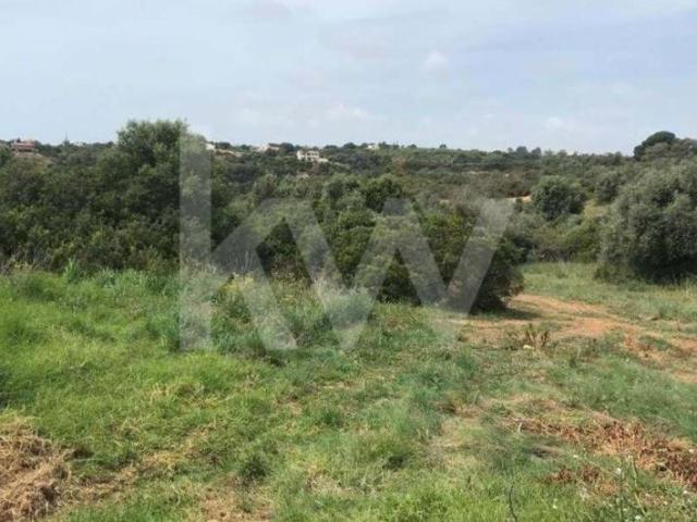 Terrenos Lagoa Algarve DS79782279