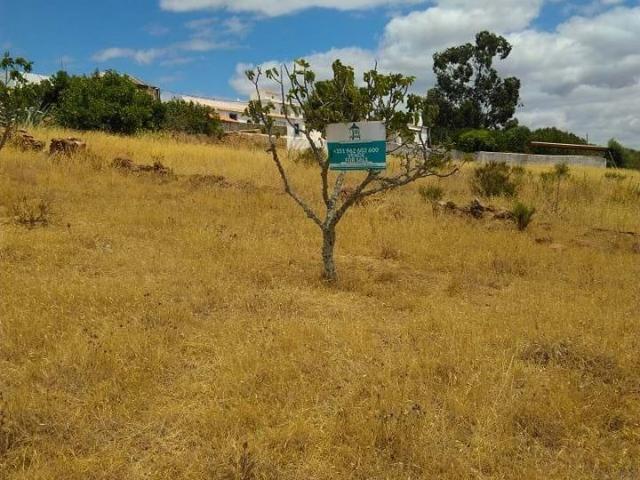 Terrenos Lagoa Algarve DS99723090