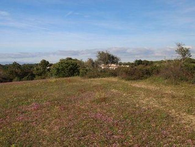 Terrenos Lagoa Faro DLS96322000