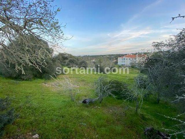 Terrenos Lagoa Faro DS97112692