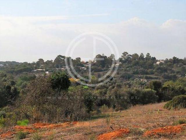 Terrenos Lagoa Faro 8400 120 DS96331539