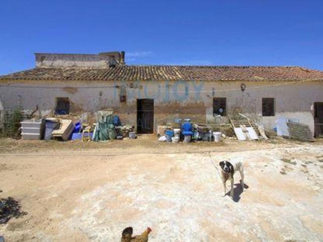 Terrenos Lagoa Faro 8400 276 DS96326490