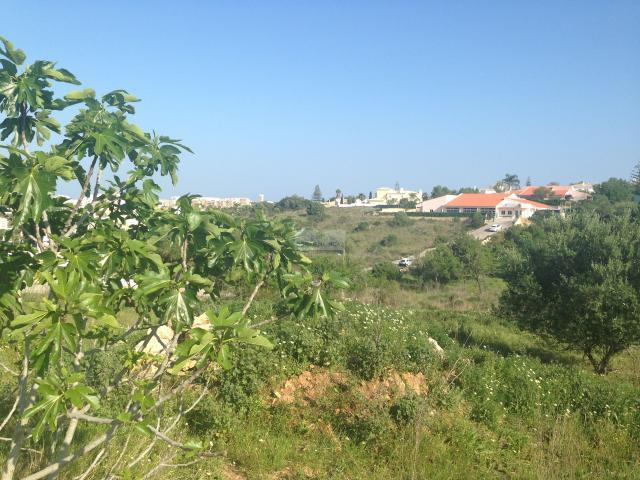 Terrenos Lagos Algarve DLS66628566
