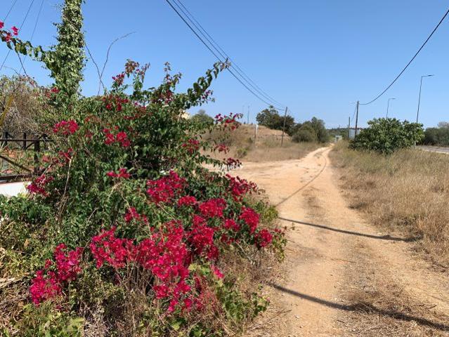 Terrenos Lagos Algarve DS41918305