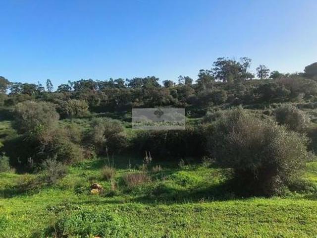 Terrenos Lagos Algarve DS57999129