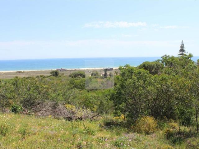 Terrenos Lagos Algarve DS61527326