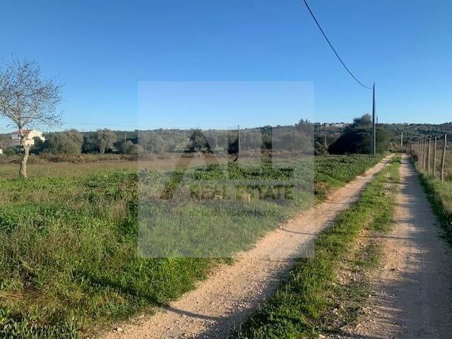 Terrenos Lagos Algarve DS61527392