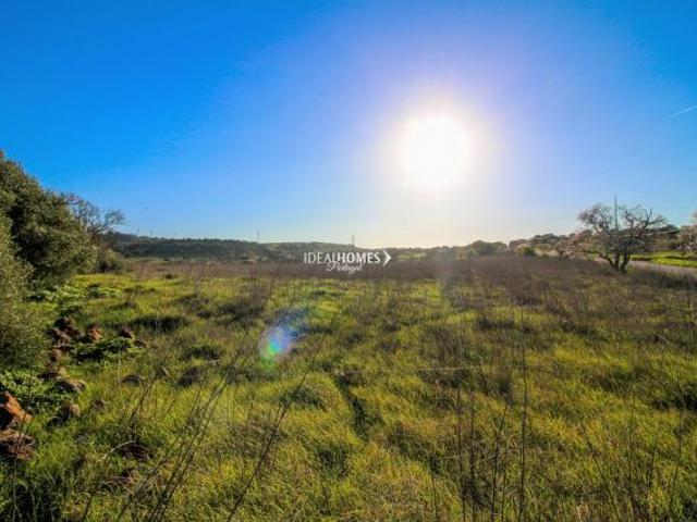 Terrenos Lagos Algarve DS63345934