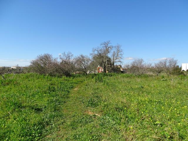 Terrenos Lagos Algarve DS64035970