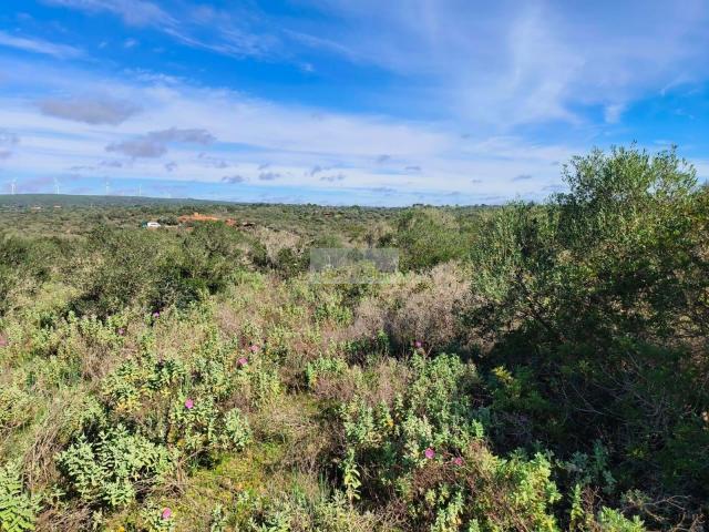Terrenos Lagos Algarve DS66628573