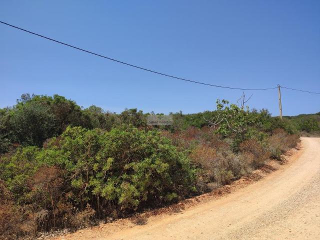 Terrenos Lagos Algarve DS66704843