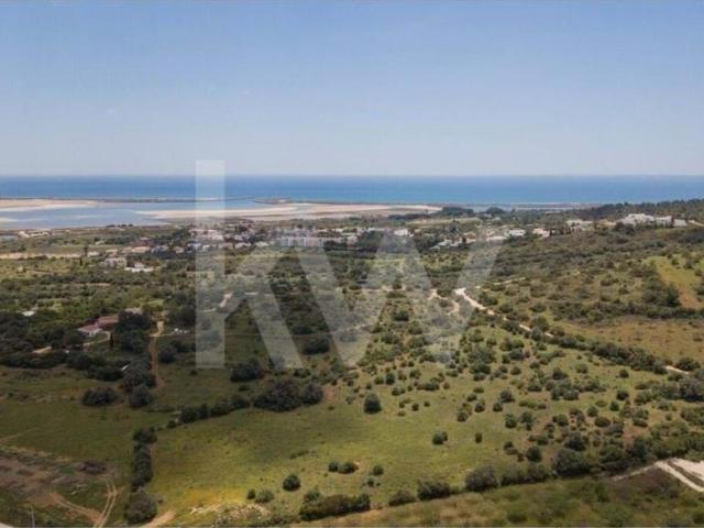 Terrenos Lagos Algarve DS79782332