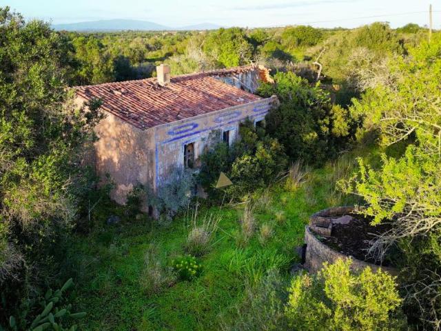 Terrenos Lagos Algarve DS85572398
