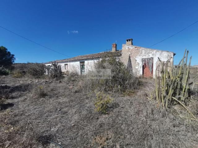 Terrenos Lagos Algarve DS99722886