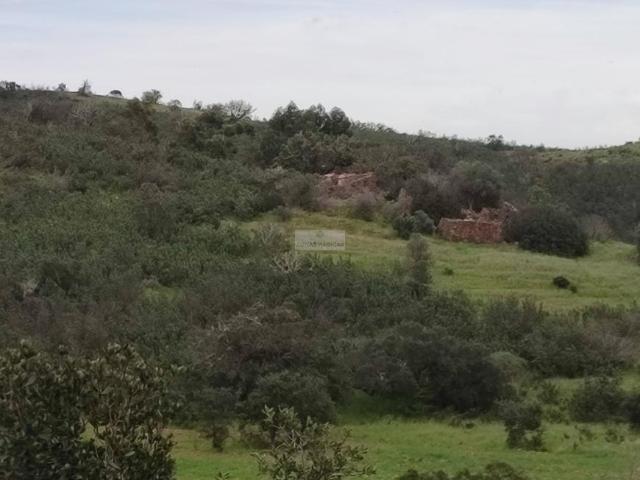 Terrenos Lagos Algarve DS99722899