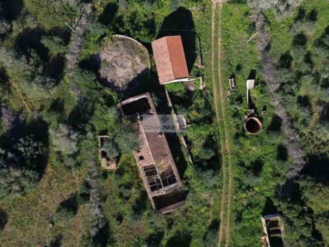 Terrenos Lagos Algarve DS99722925